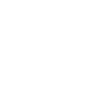 Graphic icon of an individual raising hand